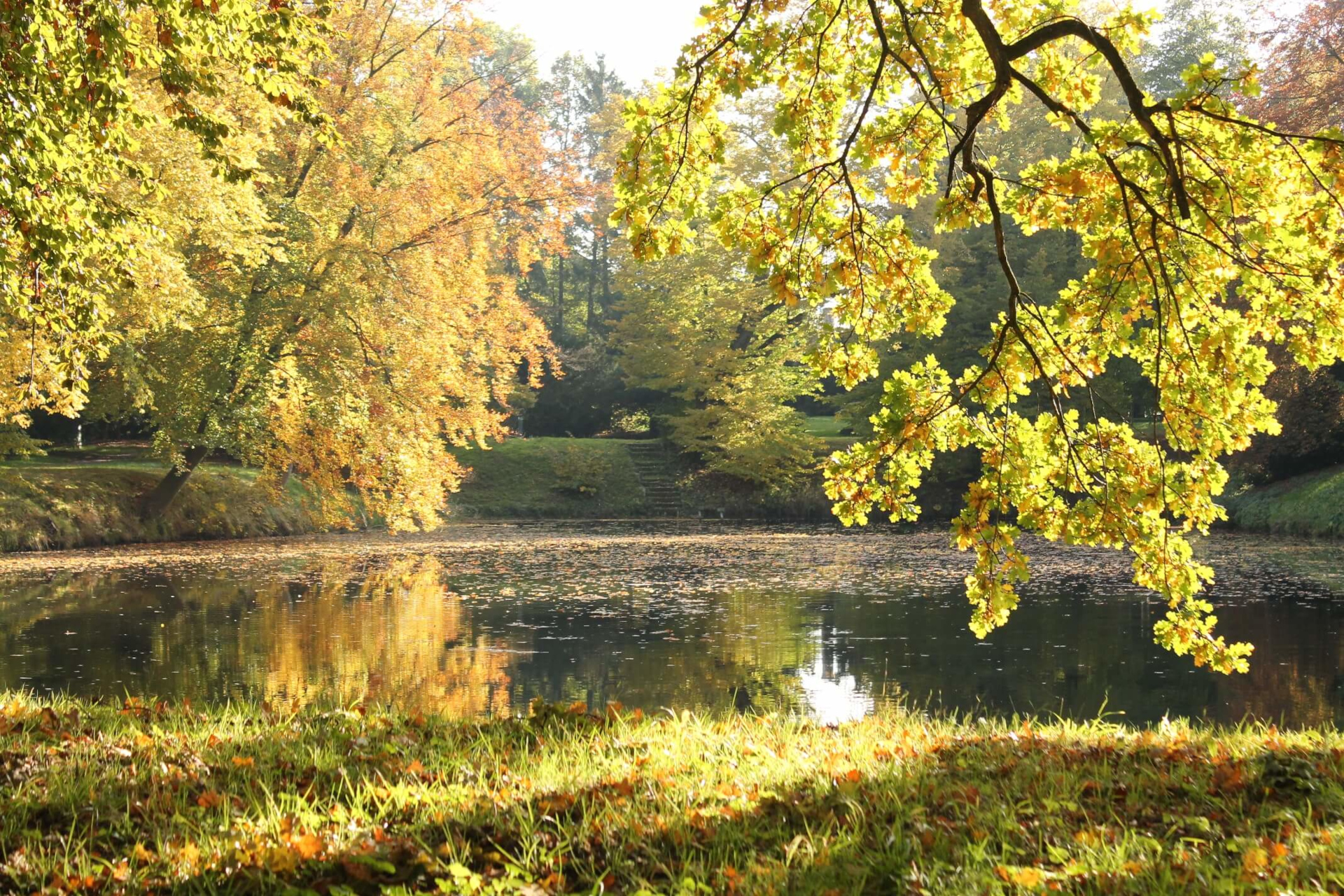 Teich im Schlosspark vom Barockschloss zu Griebenow