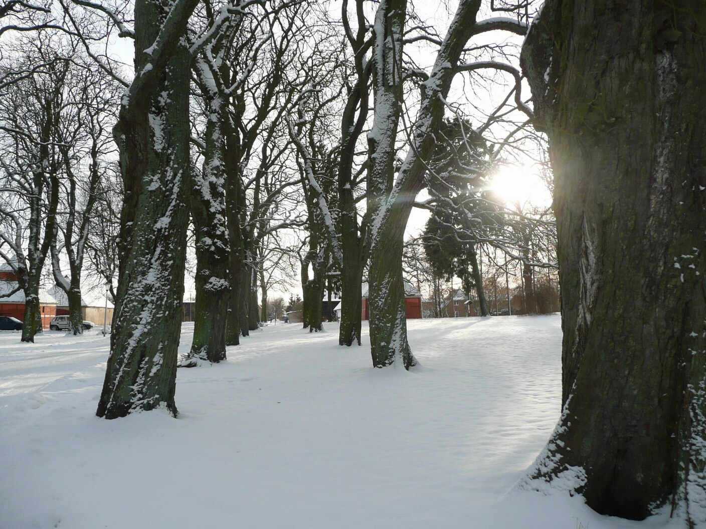 Foto: Schlosspark im Winter