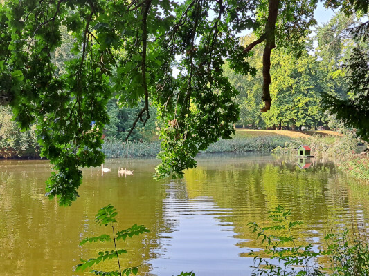 Teich im Schlosspark vom Barockschloss zu Griebenow